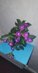 received_835099091579911