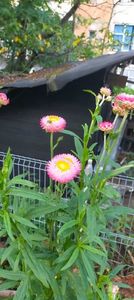IMG20230803185438