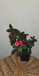 received_3487967481415723