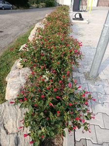 Img.2023.08.17