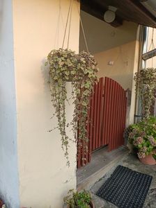 Img.2023.08.17