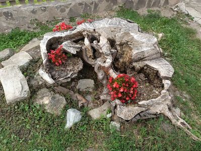 IMG-20230608