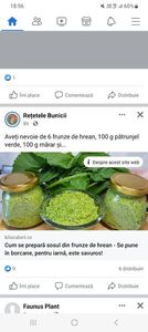 Screenshot_20230825_185618_Facebook