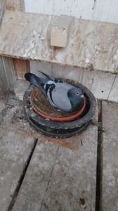 IMG-20230822-WA0014
