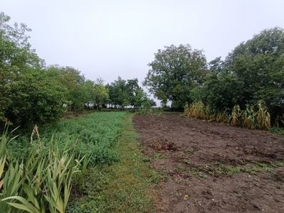 Img.2023.08.31