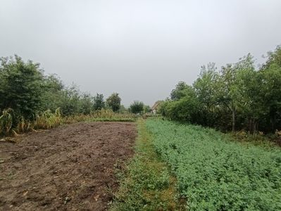Img.2023.08.31