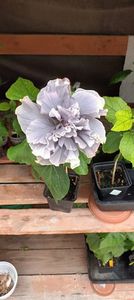 IMG-20230802-WA0012