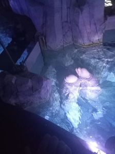 IMG20230831130136
