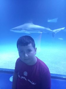 IMG20230831123403_01