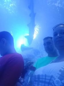 IMG20230831123126