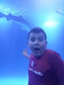 IMG20230831123037