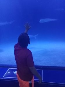 IMG20230831122943