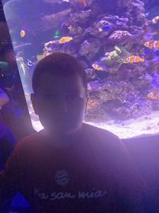 IMG20230831110206
