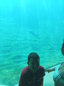 IMG20230831105311