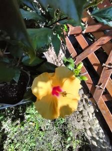 IMG20230906132224