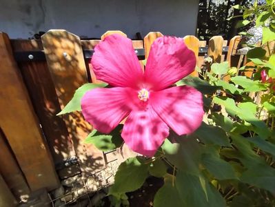 IMG20230906132145