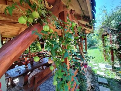 IMG20230906132120