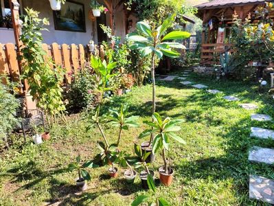 IMG20230902101509