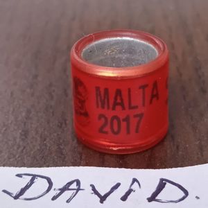 2017-Malta