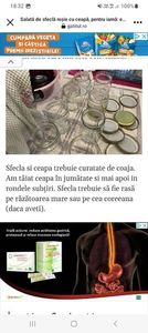 Screenshot_20230913_183224_Facebook