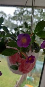 received_828231158801614