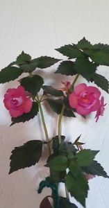 received_318195940616964