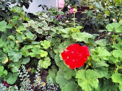 IMG20230915074337