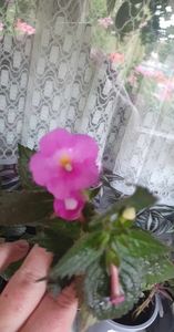 received_862588278567797
