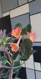 received_3143704895924255