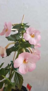 received_848896686956602