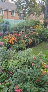 received_832677321483434