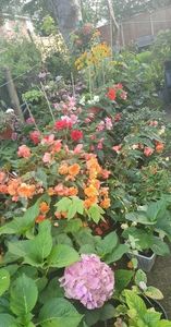 received_942867996805553