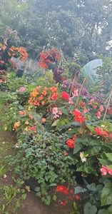 received_601703121879986