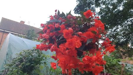 IMG-20230725-WA0097