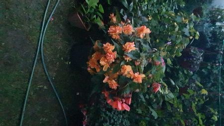 IMG-20230728-WA0065
