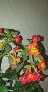 received_298297172821958