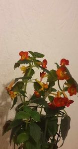 received_1312442026063890