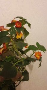 received_286698600780715