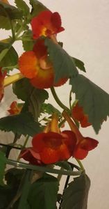 received_1308823376423183