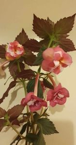 received_280170524787967