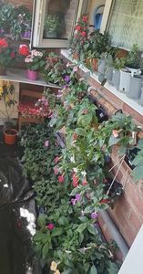received_589797950012519