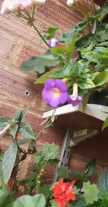 received_210926181775265