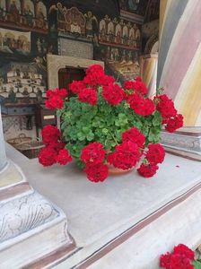 IMG-20230605-WA0022