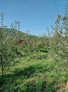 IMG-20230924-WA0013