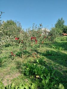 IMG-20230924-WA0012