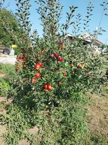 IMG-20230924-WA0011