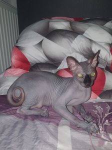 IMG-20230720-WA0001