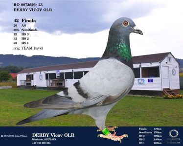 23 - 873626- Col.Vicov
