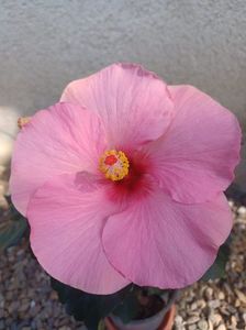 IMG-20230927-WA0000