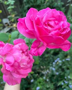 424ED5C6-39D0-45DB-A972-993B5E1B912A